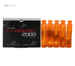 ال کارنیتین 2000 میلی گرم بی اس کی 10 ویال