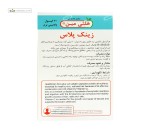 زینک پلاس 10 میلی گرم هلثی مین 60 کپسول