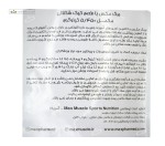 بیگ مکس گینر مکس ماسل 5450 گرم