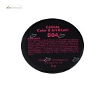 رژگونه تک رنگ کالر اند آرت B04 کالیستا 8 گرم
