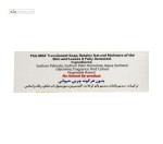 صابون گلیسیرینه پرچرب گیاهی زرد گلمر 100 گرم