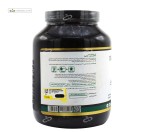 پروتئین وی فول استار 750 گرم