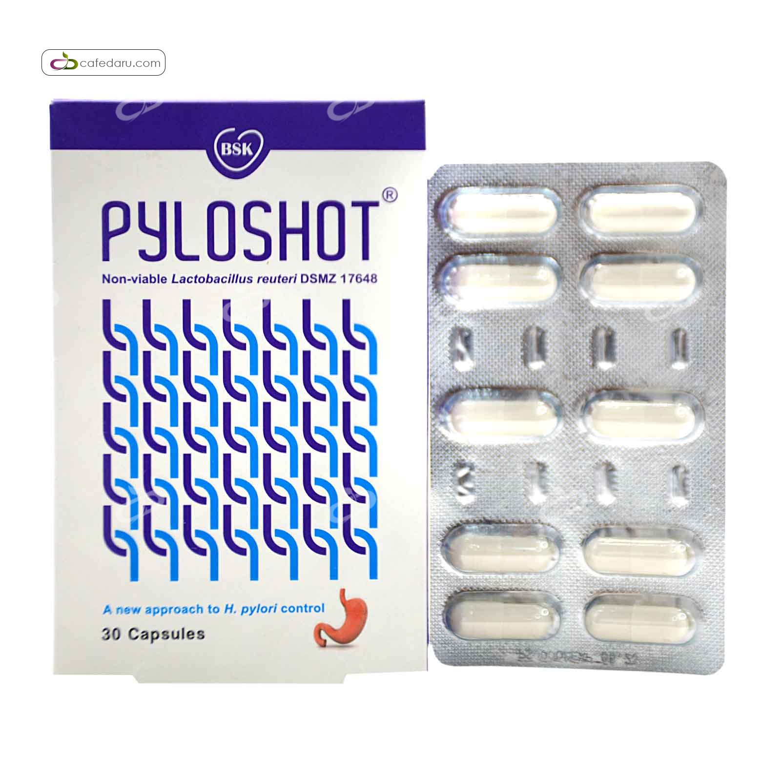 پایلوشات (پروبیوتیک) بی اس کی 30 کپسول