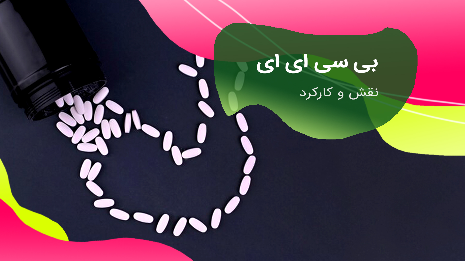 نقش و کارکرد بی سی ای ای ها در بدن چیست؟